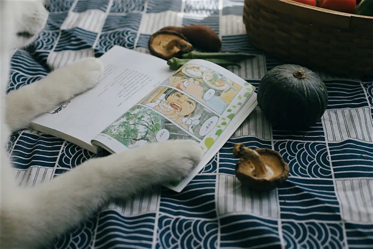 豆瓣9.0！一部名为《小森林》的日本电影，另一位“李子柒”般少女的故事