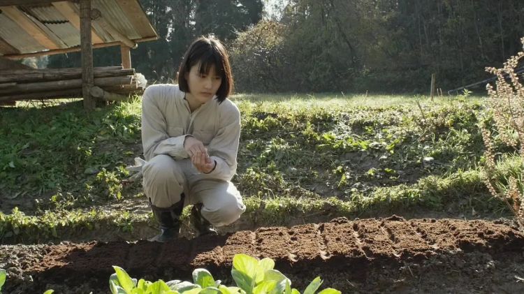 豆瓣9.0!一部名为《小森林》的日本电影,另一位“李子柒”般少女的故事 豆瓣9.0!一部名为《小森林》的日本电影,另一位“李子柒”般少女的故事