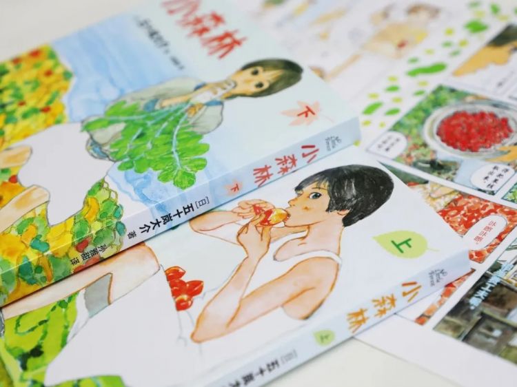 豆瓣9.0！一部名为《小森林》的日本电影，另一位“李子柒”般少女的故事