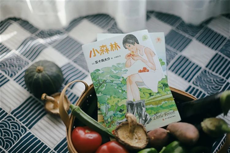 豆瓣9.0！一部名为《小森林》的日本电影，另一位“李子柒”般少女的故事