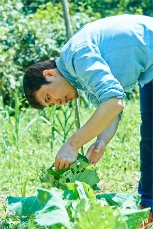 豆瓣9.0!一部名为《小森林》的日本电影,另一位“李子柒”般少女的故事 豆瓣9.0!一部名为《小森林》的日本电影,另一位“李子柒”般少女的故事