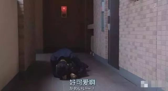 这五部高甜日剧，治愈你的不开心