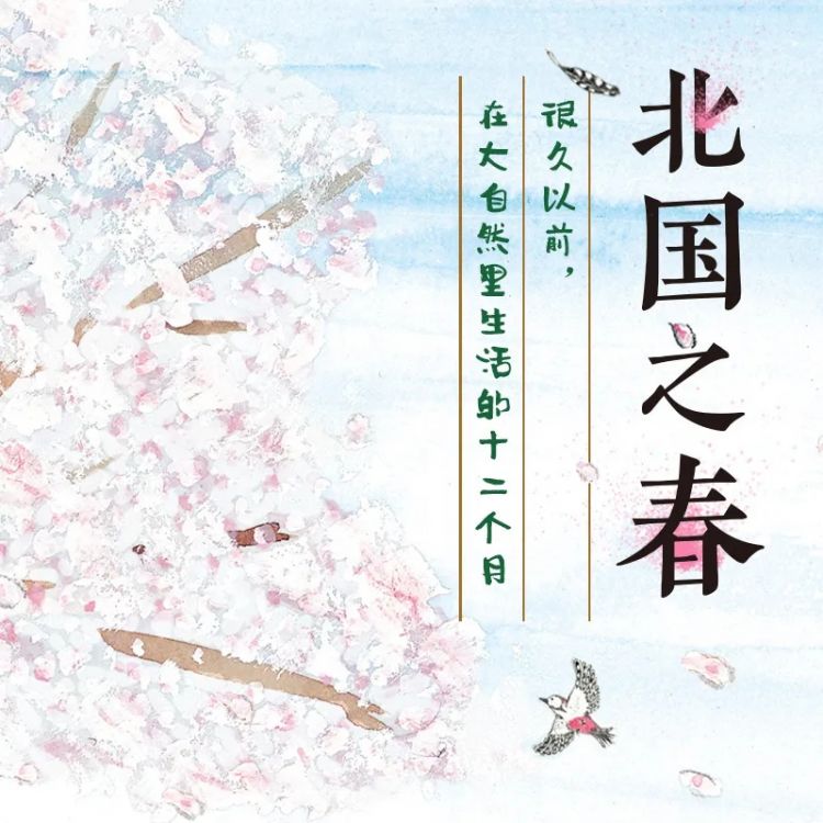 你可能不知道他的名字，但你一定听过他的歌