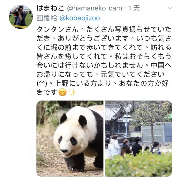 熊猫在日本的爱恨情仇