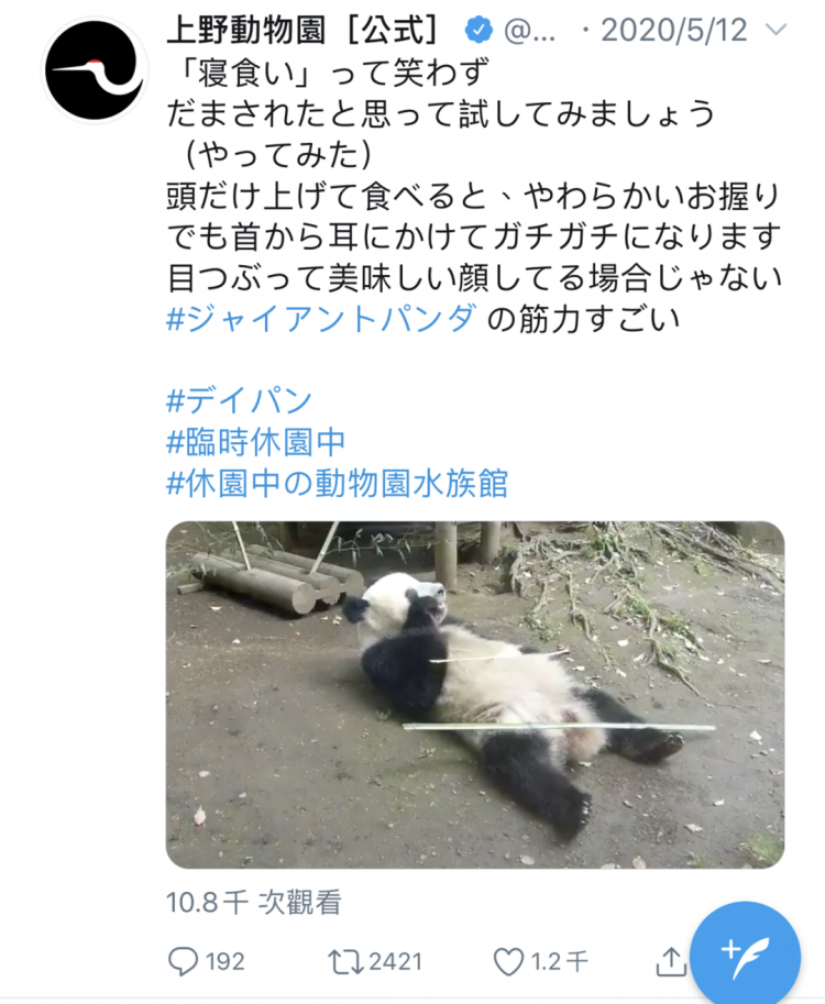 熊猫在日本的爱恨情仇