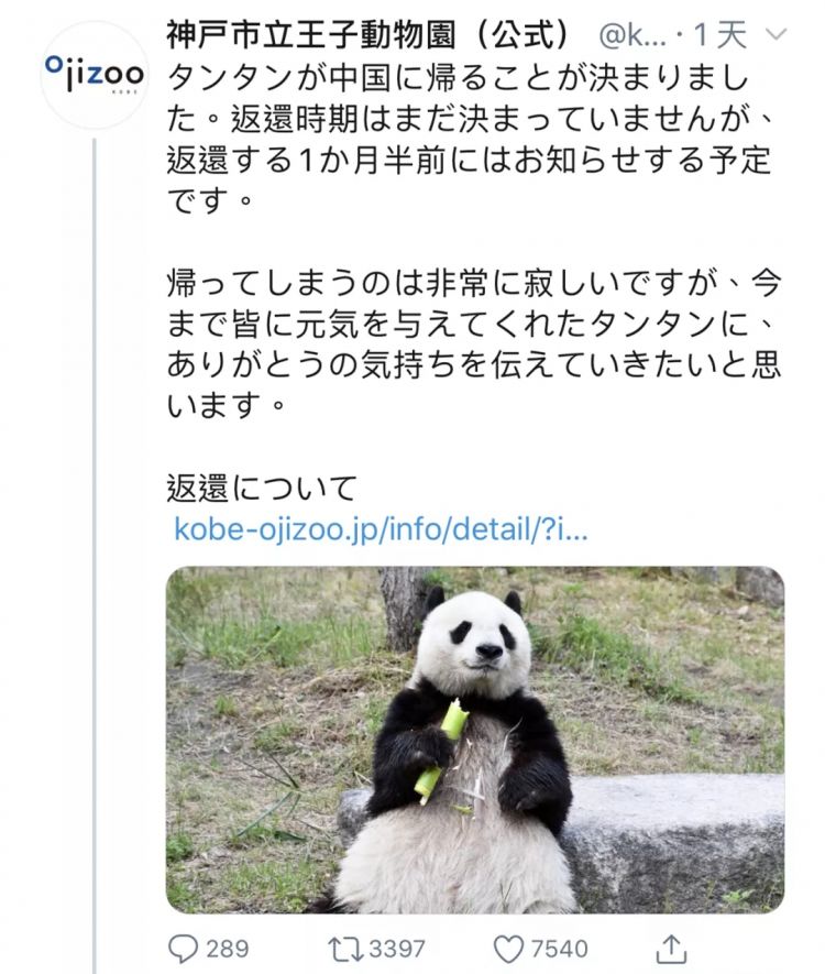 熊猫在日本的爱恨情仇