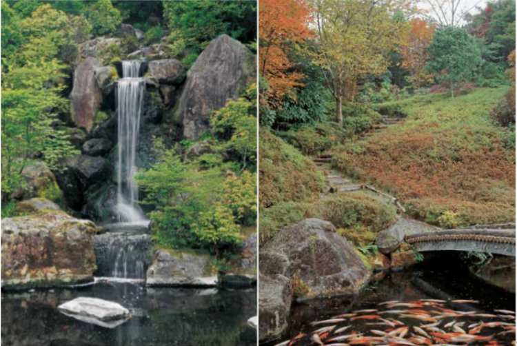 日本枯山水大师枡野俊明：设计园林是一场禅修