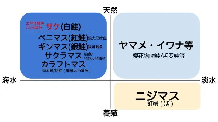 日本的三文鱼和中国的有什么区别？