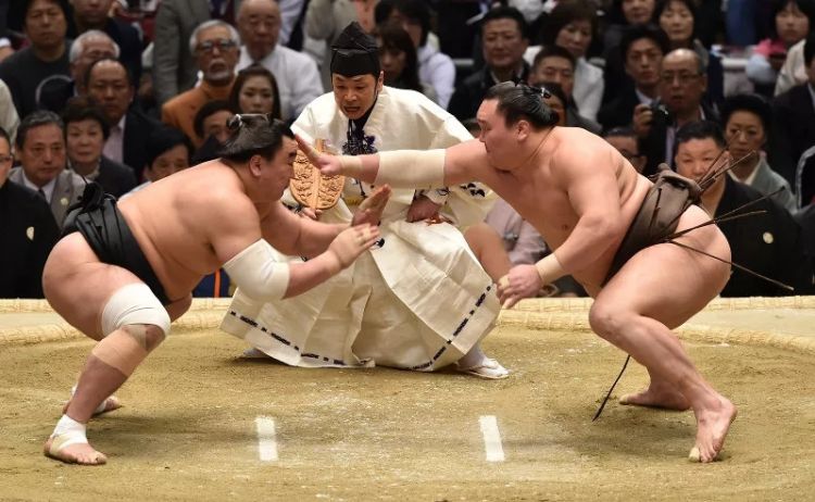 “打到要死”的日本相扑，凭什么吸引年轻人？！