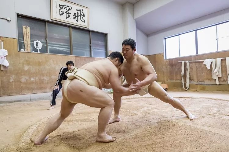 “打到要死”的日本相扑，凭什么吸引年轻人？！