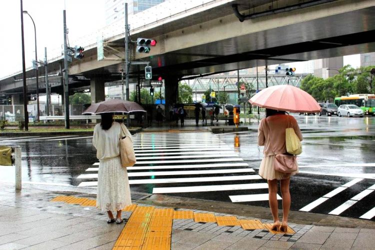 中日节气风物志丨打伞也能预防新冠肺炎？来看看这些雨伞的创意爆款