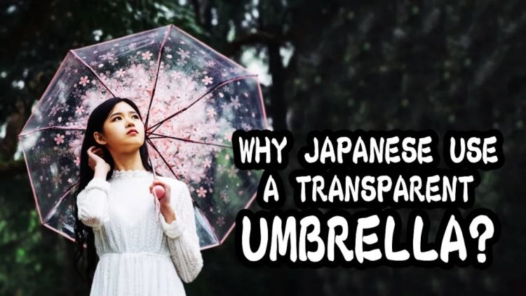 为什么日本女孩都爱用透明雨伞？