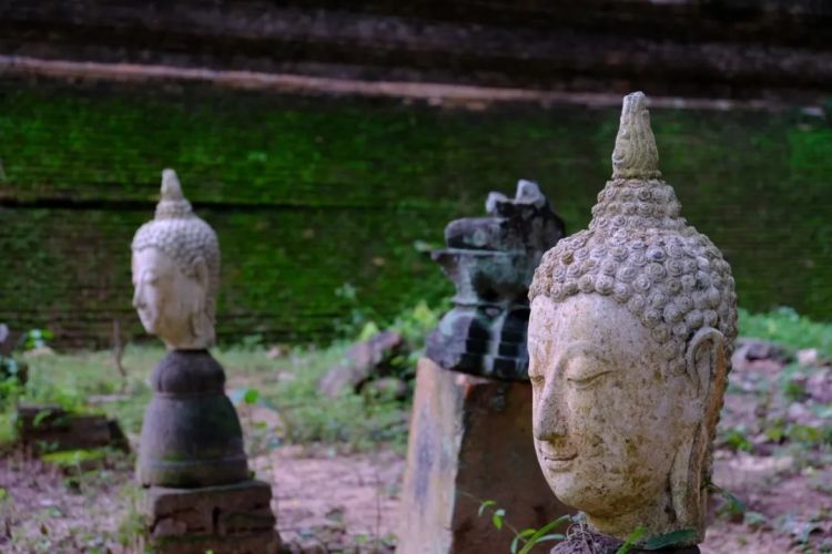 中日短长书丨摩灭论是一种积极到嘚瑟的人生观 中日短长书丨摩灭论是一种积极到嘚瑟的人生观