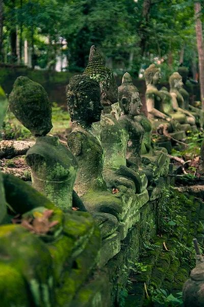 中日短长书丨摩灭论是一种积极到嘚瑟的人生观 中日短长书丨摩灭论是一种积极到嘚瑟的人生观