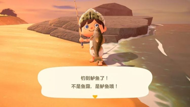 日本网友无意间钓到五彩怪鱼，到底是个什么东西？