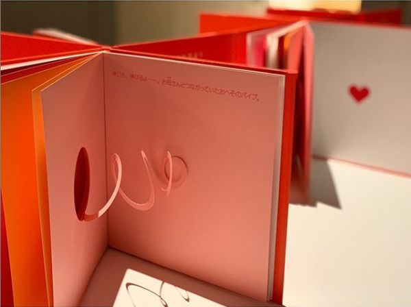 如果纸书消失了，他的书一定是留到最后的那种