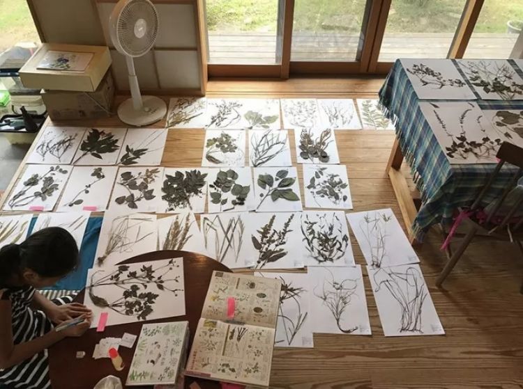 日本中小学生五花八门的假期作业