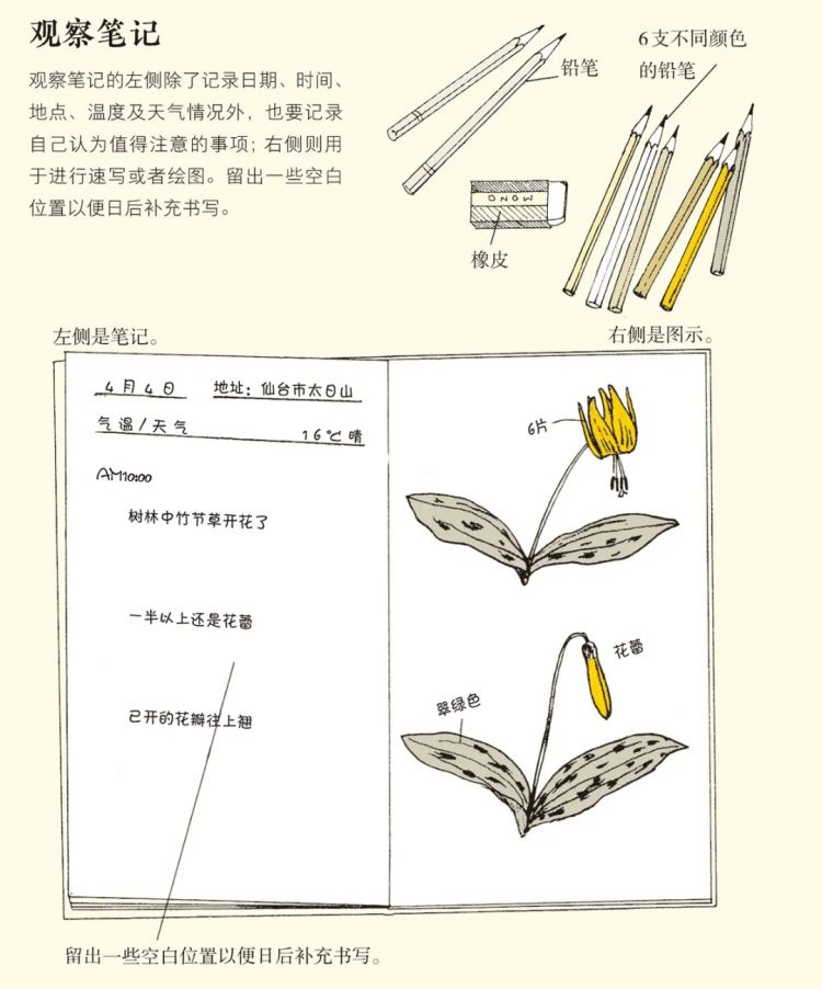 日本中小学生五花八门的假期作业