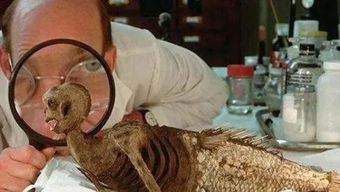 日本恐怖美人鱼