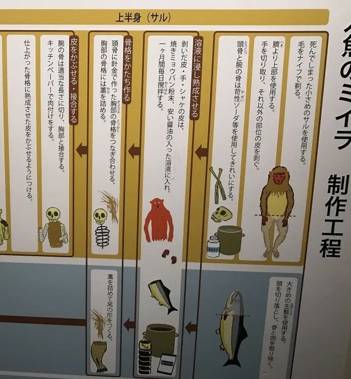 日本恐怖美人鱼