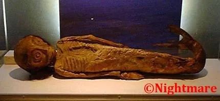 日本恐怖美人鱼