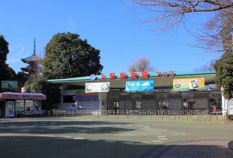 为什么日本人如此沉迷于捕虫？