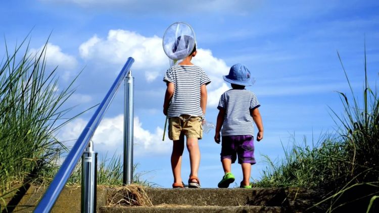 日本网友：别再幻想来日本乡下生活了