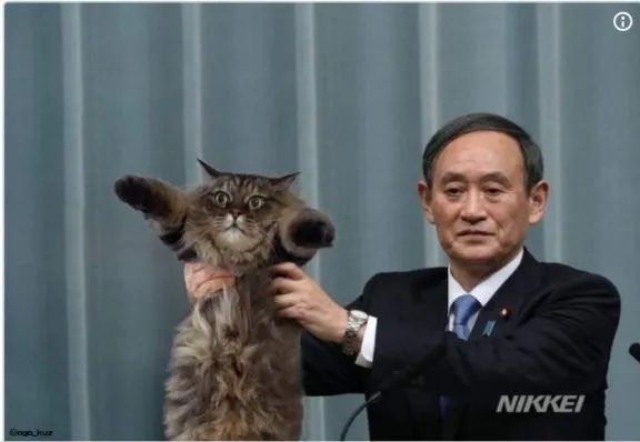 从农民工到日本首相热门人选 他的人生经历了什么 日本通 从农民工到日本首相热门人选 他的人生经历了什么 日本通