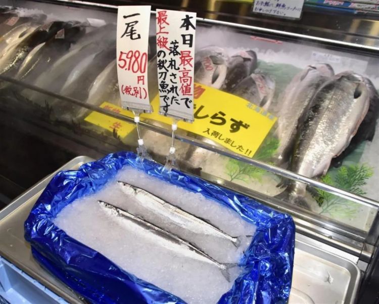 日本人吃不起秋刀鱼了