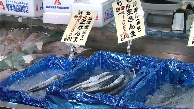 日本人吃不起秋刀鱼了