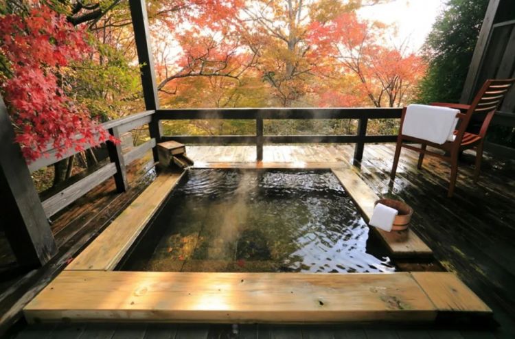 中日节气风物志丨被红叶打动的N个瞬间