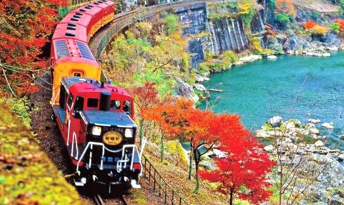 中日节气风物志丨被红叶打动的N个瞬间