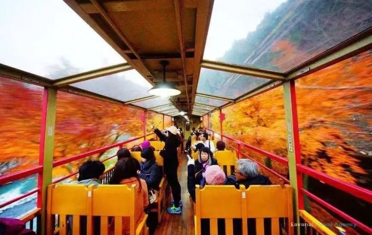 中日节气风物志丨被红叶打动的N个瞬间