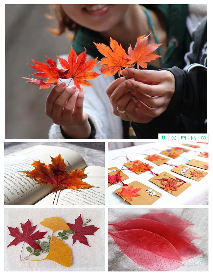 中日节气风物志丨被红叶打动的N个瞬间