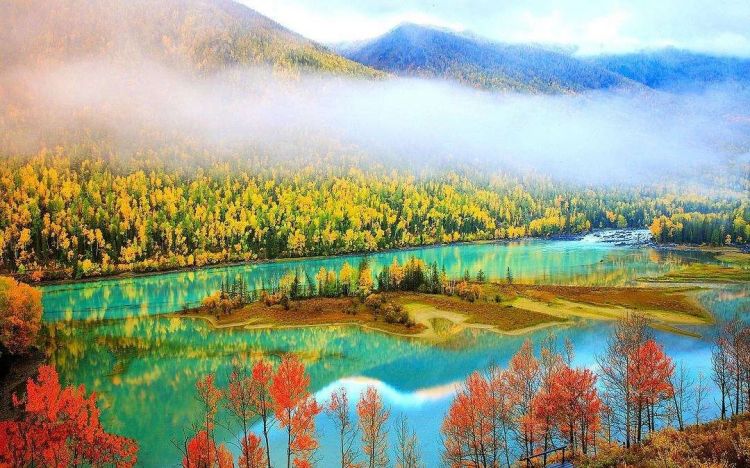 中日节气风物志丨被红叶打动的N个瞬间