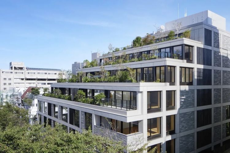 日本人的豪宅长啥样？