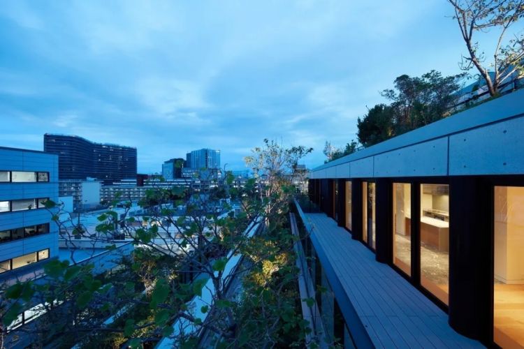 日本人的豪宅长啥样？