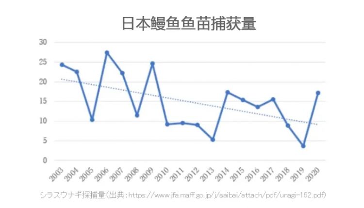 熬了三年，日本鳗鱼终于降价了