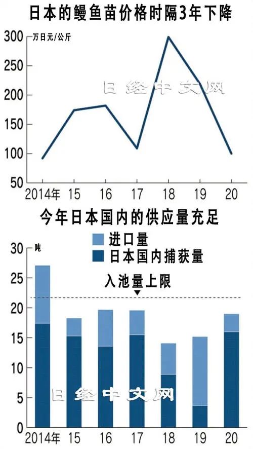 熬了三年，日本鳗鱼终于降价了