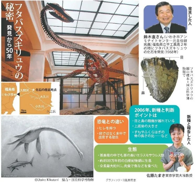 水怪、雪男...隐藏在哆啦A梦中的神秘生物学