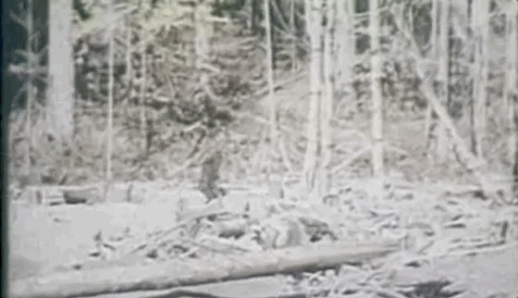 水怪、雪男...隐藏在哆啦A梦中的神秘生物学