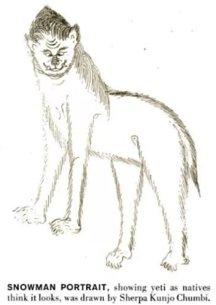 水怪、雪男...隐藏在哆啦A梦中的神秘生物学