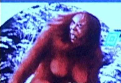 水怪、雪男...隐藏在哆啦A梦中的神秘生物学