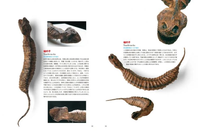 水怪 雪男 隐藏在哆啦a梦中的神秘生物学 日本通 水怪 雪男 隐藏在哆啦a梦中的神秘生物学 日本通