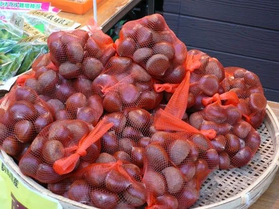 日本人的秋天限定美食,怎样最好吃? 日本人的秋天限定美食,怎样最好吃?