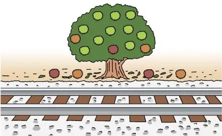 日本人的秋天限定美食,怎样最好吃? 日本人的秋天限定美食,怎样最好吃?