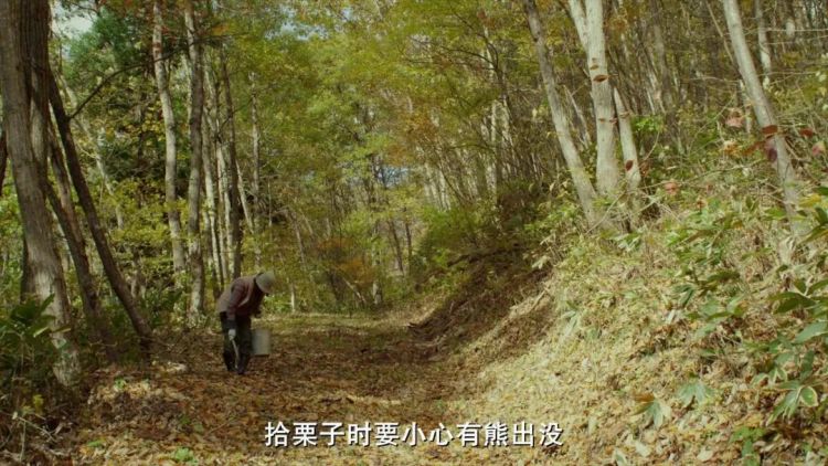 日本人的秋天限定美食,怎样最好吃? 日本人的秋天限定美食,怎样最好吃?