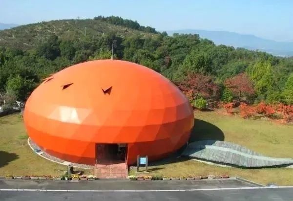 中日节气风物志丨你尝尝秋天的柿子，多甜