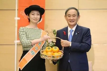 中日节气风物志丨你尝尝秋天的柿子，多甜