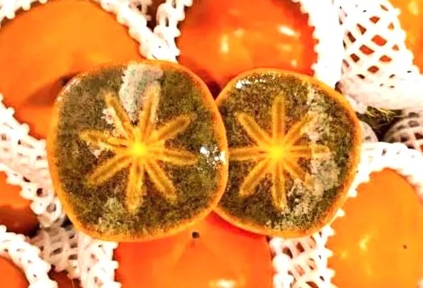 中日节气风物志丨你尝尝秋天的柿子，多甜